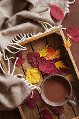 hot chocolate warming drink wool throw cozy autumn leaves