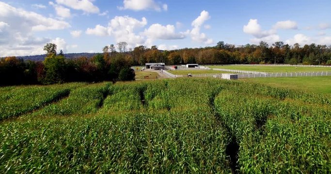 Aerial Farm Scene Corn Field Truck Driving Follow