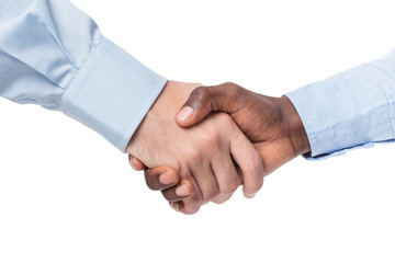 handshake of two businessmen