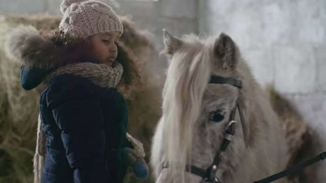 Curly African-American girl standing in stable and using stiff brush and combing hair of Shetland pony