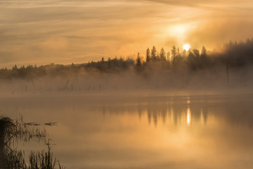 Obraz na płótnie Canvas lake sunrise fog golden
