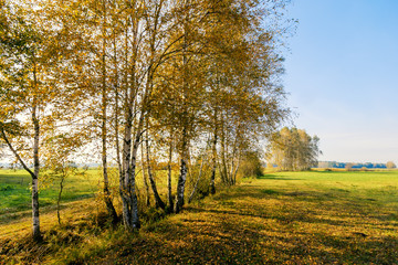 W jesiennym słońcu © podlaski49