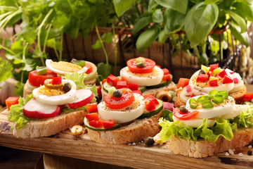 Fresh healthy vegetarian sandwiches for breakfast and salad