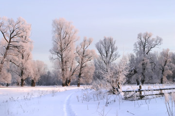 a long walk in nature snowy Russian winter