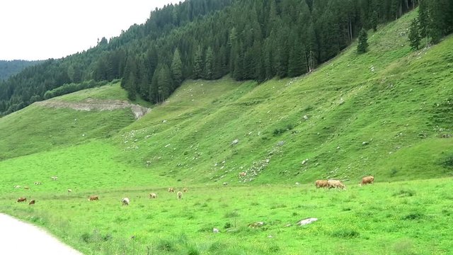 Zillertal valley landscape with meadow, barn and stream. Located at Schoenachtal valley in Tirol (Austria).