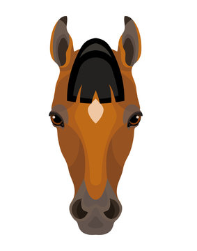 Vector beautiful thoroughbred horse portrait, farm animal icon