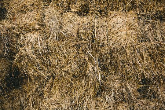 Hay Bale Texture, Nature Background. Toned Photo.