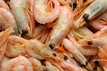 Freshly cooked prawns