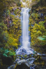Fototapeta na wymiar Erskine Waterfall
