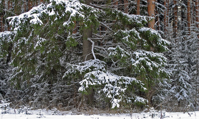 Walk through the beautiful places frosty Russian winter