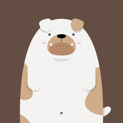 cute big fat Bulldog on dark brown background