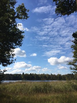 Kampina Netherlands