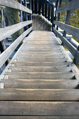 Obraz premium Wooden stairs down from lookout tower.