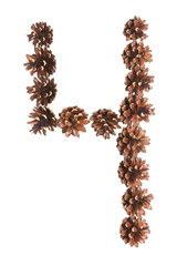 four number made of pine cone