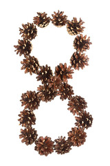 eight number made of pine cone