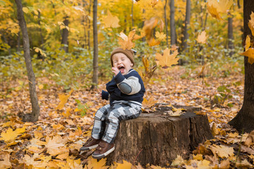 Beautiful baby boy one years old crawling in fallen leaves - autumn scene