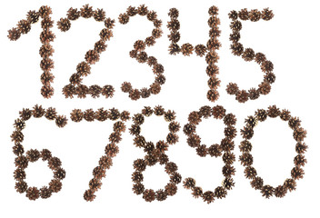 all number made of pine cone