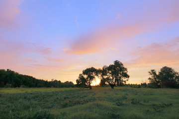Fototapeta na wymiar sunset over the oak grove