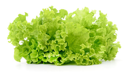 Green lettuce isolated.