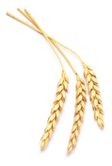 wheat on white