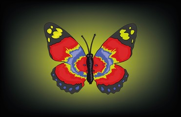BUTTERFLY BACKGROUND