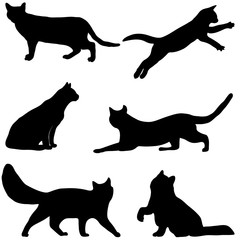 Cats collection - vector silhouette