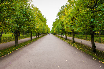 Fototapeta na wymiar Peterhof walking park