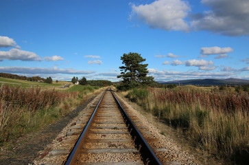 Fototapeta na wymiar Tracks