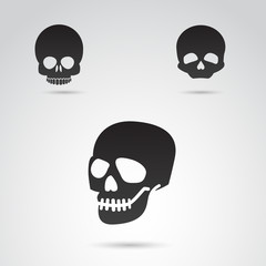 Skull vector icon. 