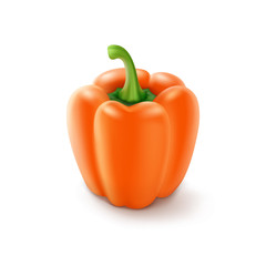 Vector Orange Sweet Bulgarian Bell Pepper, Paprika on White Background
