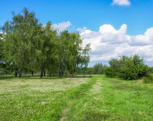Fototapeta na wymiar Eastern Europe summer landscape
