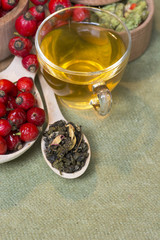 Medicinal plants and herbs composition: Dog rose, bunch branch Rosehips, Different types Rosa canina hips, green tea with hawthorn. selective focus 