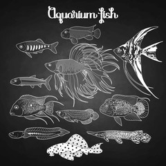 Graphic aquarium fish set