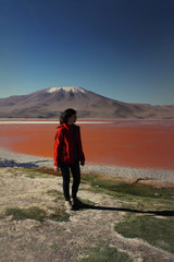 woman near Laguna Colorada with flamingos and volcano in Bolivia
