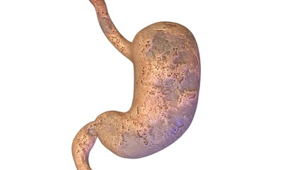 Obraz premium 3d illustration human anatomy with internal organs and muscles