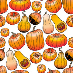 Graphic collection of pumpkins