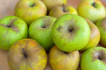 Selective focus of Imperfect looking organic Belle de Boskoop apples with unconventionally raised method, no genetically modified organism techniques © sasimoto