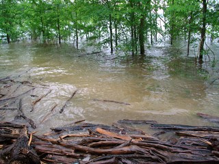 Flood Waters