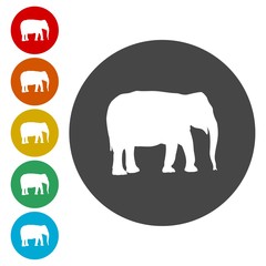 Silhouette of a elephant 