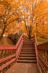 Fototapeta na wymiar Wooden stairs with leaves in the autumn forest