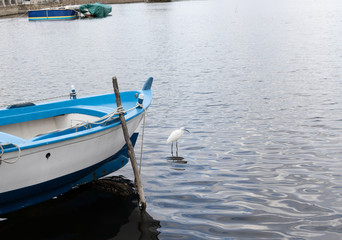 Fototapeta na wymiar L'airone bianco davanti la barca del pescatore