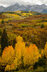 Brilliant Scenic View