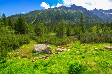 Beautiful scenery of the trail in Tatra mountains, Poland