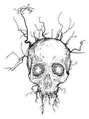 Vector skull