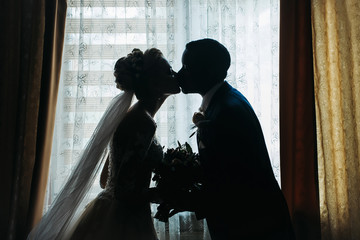 Silhouette of bride and groom