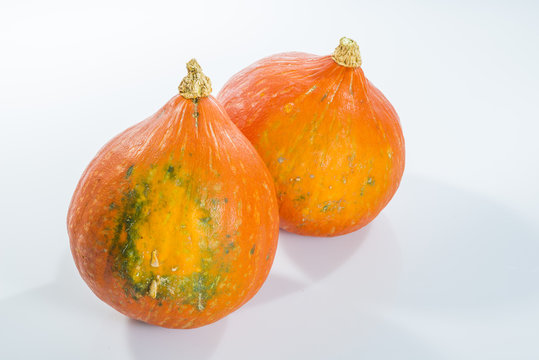 potimarron