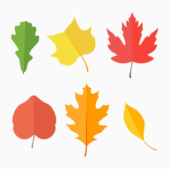Set of autumn leaves isolated on white background. Flat style vector illustration.