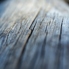 old cracked log