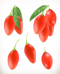 Goji berry. 3d vector icons set. Realistic illustration