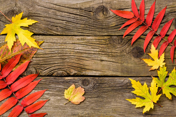 Obraz premium Autumn Leaves over wooden background.Fall. Wood With copy space
